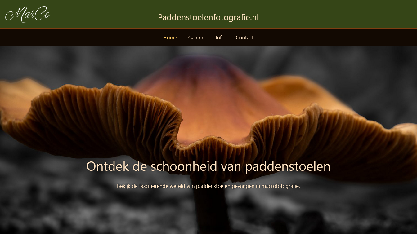 paddenstoelen fotografie
